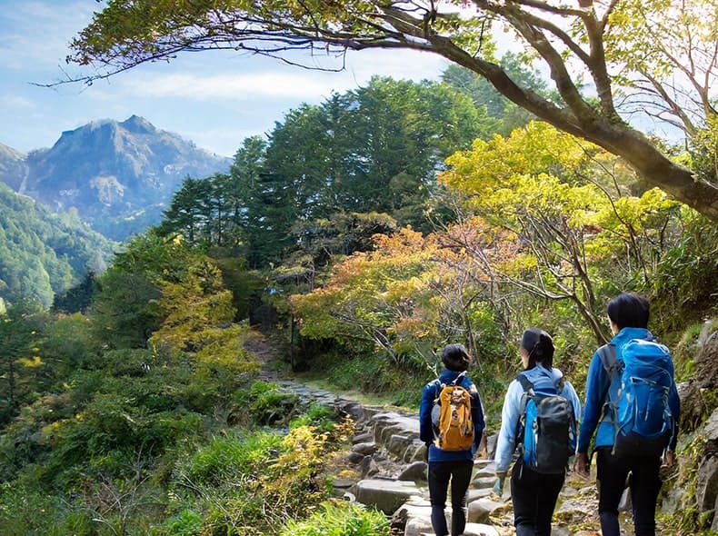 登山 / ハイキング